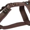 AnnyX Hondentuig Harnas Fun Speurtuig Bruin Choco Maat L -borstomvang-70 Tot 86 Cm. -Benodigdheden Voor Huisdieren Winkel AnnyX hondentuig harnas Fun speurtuig bruin choco maat L borstomvang 70 tot 86 cm