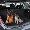 Autostoelbeschermer – Beschermhoes Autostoel Hond- Zwart 144 X 144 Cm -Benodigdheden Voor Huisdieren Winkel Autostoelbeschermer beschermhoes autostoel hond zwart 144 x 144 cm