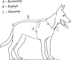 Beeztees – Hondentuig – Mac Leather – Bruin – 60-100 Cm