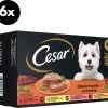 Cesar Classic Honden Natvoer Mix Multipack (6 Stuks X 4 Potjes X 150g) – 3600 Gram -Benodigdheden Voor Huisdieren Winkel Cesar Classic honden natvoer mix multipack 6 stuks x 4 potjes x 150g 3600 gram 1