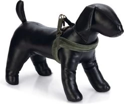 Beeztees Designed By Lotte Velura – Hondentuig – Kleur: Groen – Maat M – Omvang 58 Cm