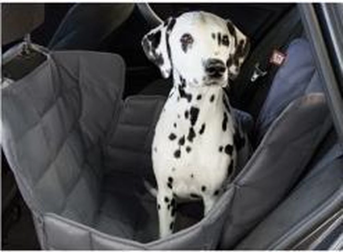 Doctor Bark 1-zits Autodeken Voor De Achterbank, Grijs, Maat M 3 Doctor Bark 1-zits Autodeken Voor De Achterbank, Grijs, Maat M