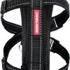 EzyDog Chest Plate Hondentuig Met Autogordel Zekering – Honden Harnas – M – Zwart -Benodigdheden Voor Huisdieren Winkel EzyDog Chest Plate Hondentuig met Autogordel Zekering Honden Harnas M Zwart