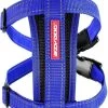 EzyDog Chest Plate Hondentuig Met Autogordel Zekering – Honden Harnas – XS – Blauw -Benodigdheden Voor Huisdieren Winkel EzyDog Chest Plate Hondentuig met Autogordel Zekering Honden Harnas XS Blauw