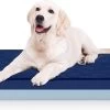 Flightmode – UTTU Hondenbed Voor Kleine Honden, Zacht Kussen Met Wasbare Overtrek, Orthopedisch, Waterdicht Matras Voor Extra Ondersteuning (M) 1 Flightmode – UTTU Hondenbed Voor Kleine Honden, Zacht Kussen Met Wasbare Overtrek, Orthopedisch, Waterdicht Matras Voor Extra Ondersteuning (M) -Benodigdheden Voor Huisdieren Winkel Flightmode UTTU Hondenbed voor kleine honden zacht kussen met wasbare overtrek orthopedisch waterdicht matras voor extra ondersteuning M