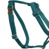 Kentucky Hondentuig Loop – Emerald L – 75-100cm -Benodigdheden Voor Huisdieren Winkel Kentucky Hondentuig Loop Emerald L 75 100cm