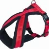 Nobby Hondentuig Comfort Soft Grip Rood – Xs/s – Buikomvang 30-40 Cm – Breedte 15/30 Mm 2 Nobby Hondentuig Comfort Soft Grip Rood – Xs/s – Buikomvang 30-40 Cm – Breedte 15/30 Mm -Benodigdheden Voor Huisdieren Winkel Nobby hondentuig comfort soft grip rood xss buikomvang 30 40 cm breedte 1530 mm
