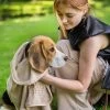 Pepets© – Hondenhanddoek – Extra Grote Honden Handdoek – Microvezel Handdoek – Handdoek Hond – Hondendeken – Droogdoek Hond – Dierendeken – Absorberend – 140*70CM – Beige -Benodigdheden Voor Huisdieren Winkel Pepets© Hondenhanddoek Extra Grote Honden Handdoek Microvezel Handdoek Handdoek Hond Hondendeken Droogdoek Hond Dierendeken Absorbere