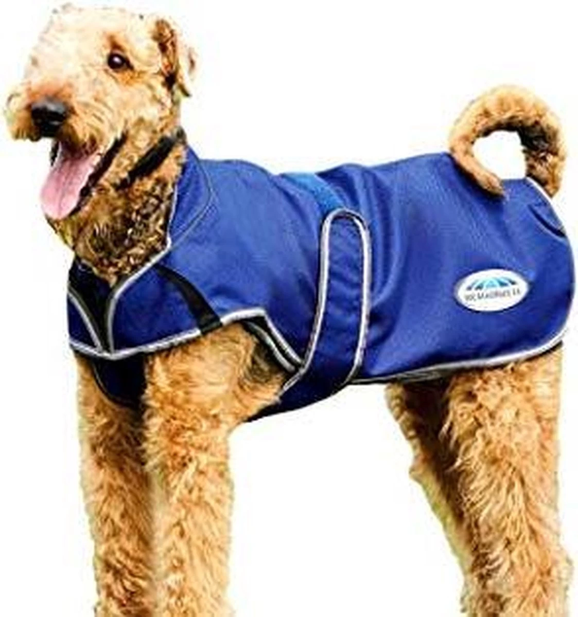 RelaxPets – Weatherbeeta – Hondendeken – Premier Free Duo Deluxe – 50 Gram – Uitneembare Fleece Voering – Blauw – 70 Cm 3 RelaxPets – Weatherbeeta – Hondendeken – Premier Free Duo Deluxe – 50 Gram – Uitneembare Fleece Voering – Blauw – 70 Cm