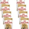 Royal Canin Shih Tzu Adult Natvoer – Hondenvoer – 8 X 12×85 G -Benodigdheden Voor Huisdieren Winkel Royal Canin Shih Tzu Adult Natvoer Hondenvoer 8 x 12x85 g