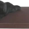 Topmast Kussen Hondenkussen Hondenmatras Orthopedisch Leatherlook 55 X 80 X 10 Cm – Bruin -Benodigdheden Voor Huisdieren Winkel Topmast Kussen Hondenkussen Hondenmatras Orthopedisch leatherlook 55 x 80 x 10 cm Bruin