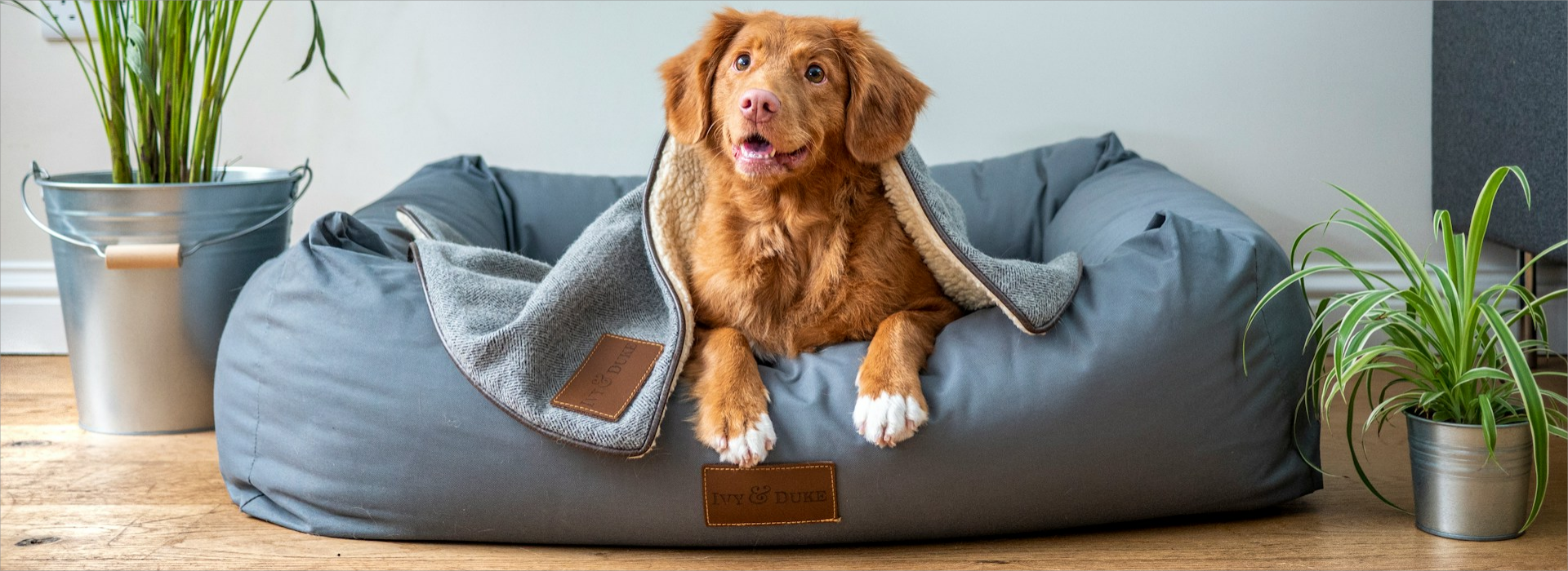 Voorkant -Benodigdheden Voor Huisdieren Winkel jamie street s9Tf1eBDFqw unsplash1